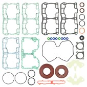 Комплект прокладок полный Sledex для Ski-Doo 850 E-TEC