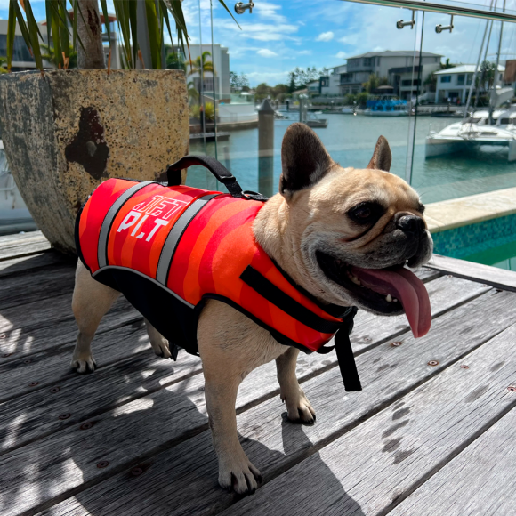 Жилет спасательный для собак JetPilot PFD Red, XL Жилет спасательный для собак JetPilot PFD Red, XL