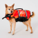 Жилет спасательный для собак JetPilot PFD Red, XL