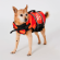Жилет спасательный для собак JetPilot PFD Red, XL