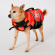 Жилет спасательный для собак JetPilot PFD Red, XL