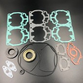 Ремкомплект ДВС BRP Ski-Doo 500 (99-04) (09-711256;420888722) (PREMARINE)