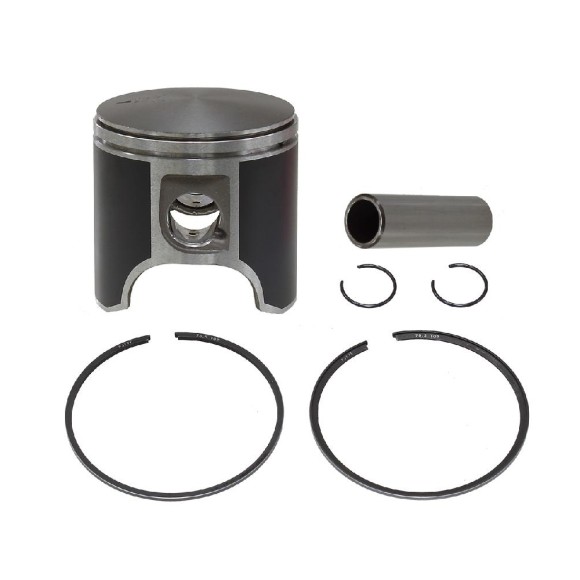 Поршень BRP 670 (T-Moly, +0,25 мм) 09-773-01