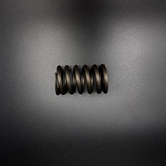 Пружина SPRING (Quicksilver)