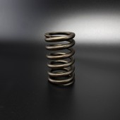 Пружина SPRING (Quicksilver)
