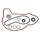 Ремкомплект помпы охлаждения Polaris AT-10082