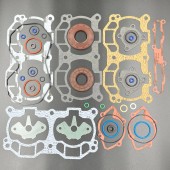 Ремкомплект двигателя BRP Ski Doo 600  (KINETIX)(ПОЛНЫЙ)