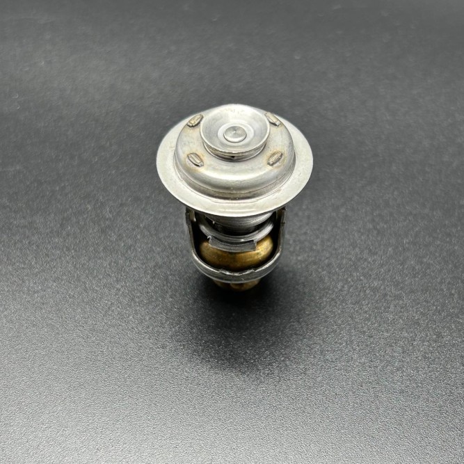 Термостат THERMOSTAT (Quicksilver)