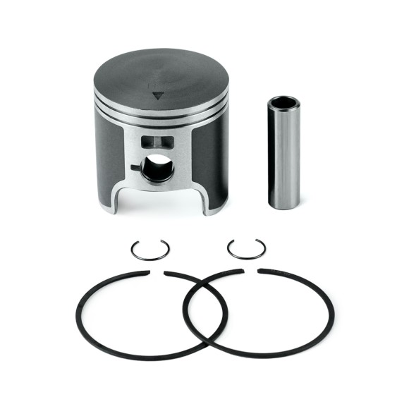 Поршень Polaris 550F (T-Moly, +0,25 мм) SM-09256-1