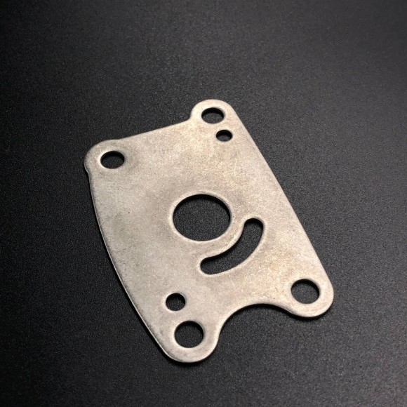 Пластина помпы охлаждения Honda BF4.5-5 (19231-ZV1-A00) (Honda)