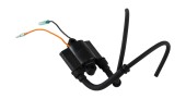Катушка зажигания Suzuki DT9.9-15 Катушка зажигания Suzuki DT9.9-15