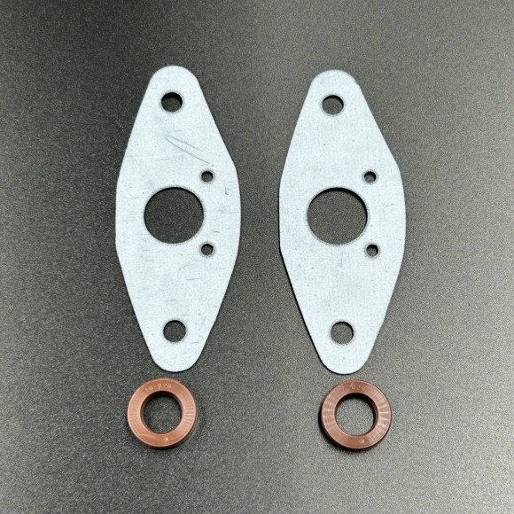 Комплект прокладок RAVE клапана BRP 09-719117