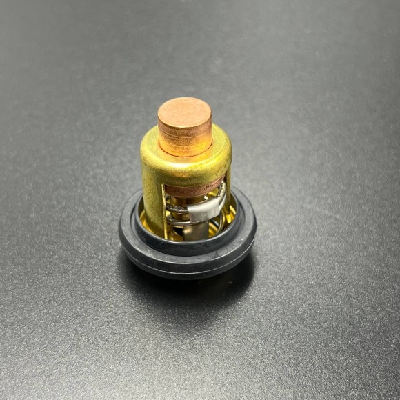 Термостат Yamaha 3-250 60С* (PREMARINE)