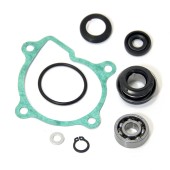 Ремкомплект помпы охлаждения Yamaha AT-10050 Ремкомплект помпы охлаждения Yamaha AT-10050