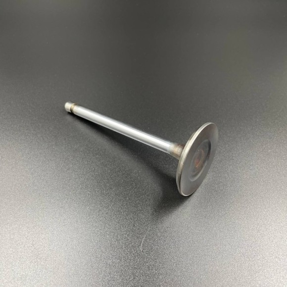 Клапан впускной  Mercruiser 4.3/5.0/5.7L Alpha/Bravo (Omax)