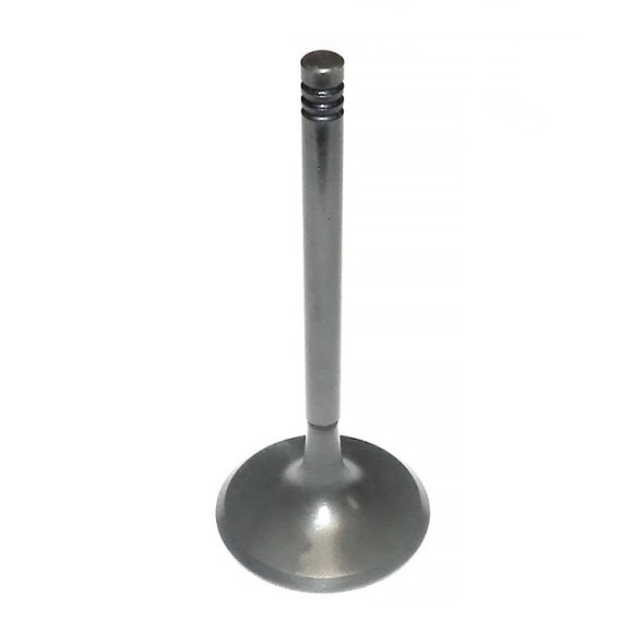 Впускной клапан BRP 1503 010-005