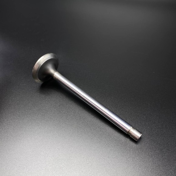 Клапан выпускной VALVE-EXH-STD (Quicksilver)