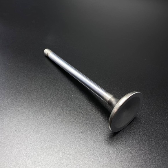 Клапан выпускной VALVE-EXH-STD (Quicksilver)