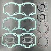 Ремкомплект двигателя BRP Rotax 552F (420889911) (KINETIX)