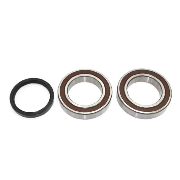 Комплект подшипников BRP SM-03178