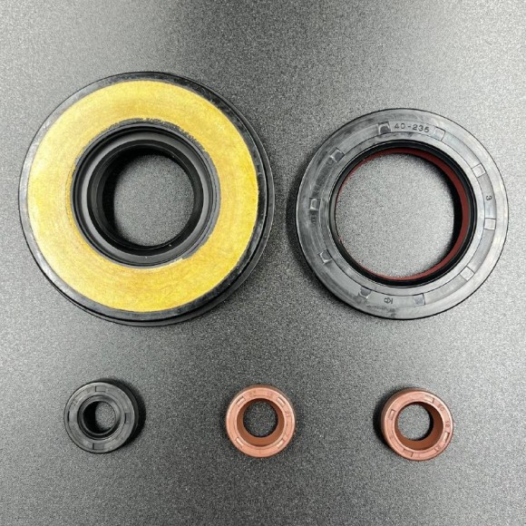 Ремкомплект двигателя Arctic Cat F5, 500 (KINETIX)