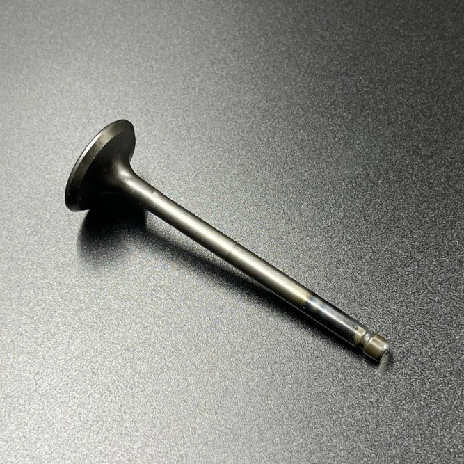 Клапан выпускной Yamaha F20-60 FT25-60 (Yamaha)