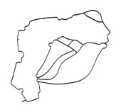 Сальник корпуса вала Suzuki