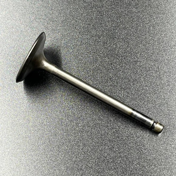 Клапан впускной Yamaha F20-60 FT25-60 (Yamaha)