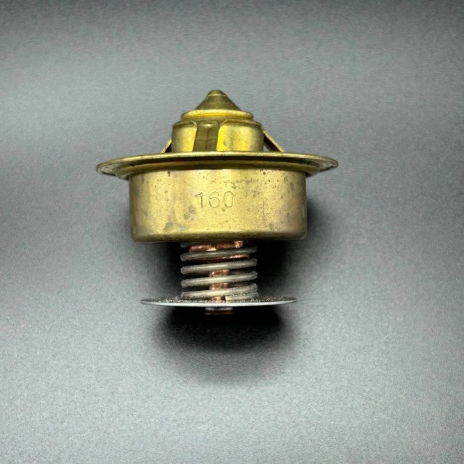 Термостат THERMOSTAT-160DEG (Quicksilver)
