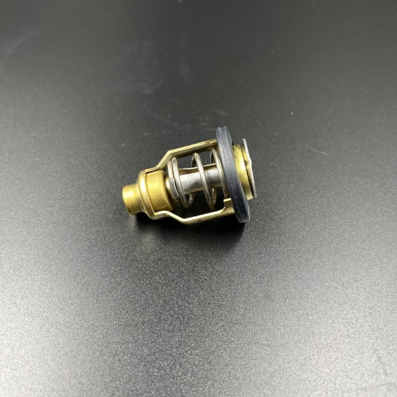 Термостат Mercury 6-20 (8M0119207) (PREMARINE)