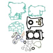 Полный комплект прокладок BRP 600 ACE SM-09508F Полный комплект прокладок BRP 600 ACE SM-09508F