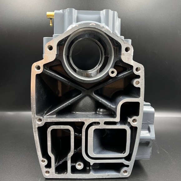 Блок цилиндров с картером Yamaha 40X (40F-01.06.01.01; T40E-020004; PNFM40E-02001) (YUELANG)