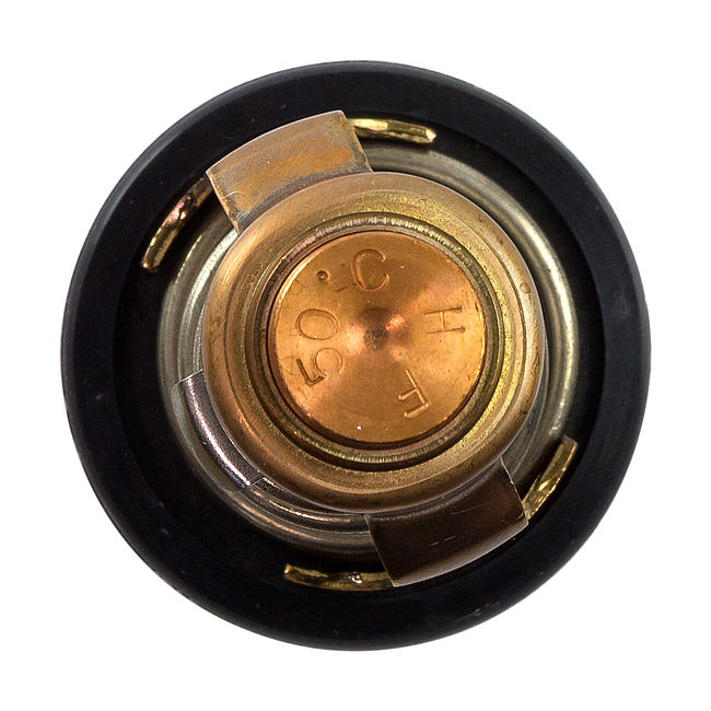 Термостат TAMA 50C