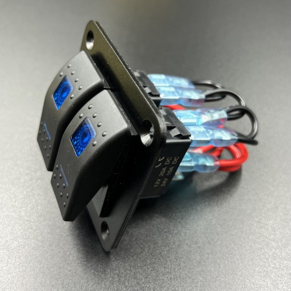 Панель управления (2 тумблера вкл/выкл)(PREMARINE)