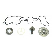 Ремкомплект масляного насоса BRP 010-1210 Ремкомплект масляного насоса BRP 010-1210