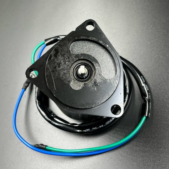 Мотор гидроподъемника Yamaha F200-300 (WUHU) (69J-43880-01)