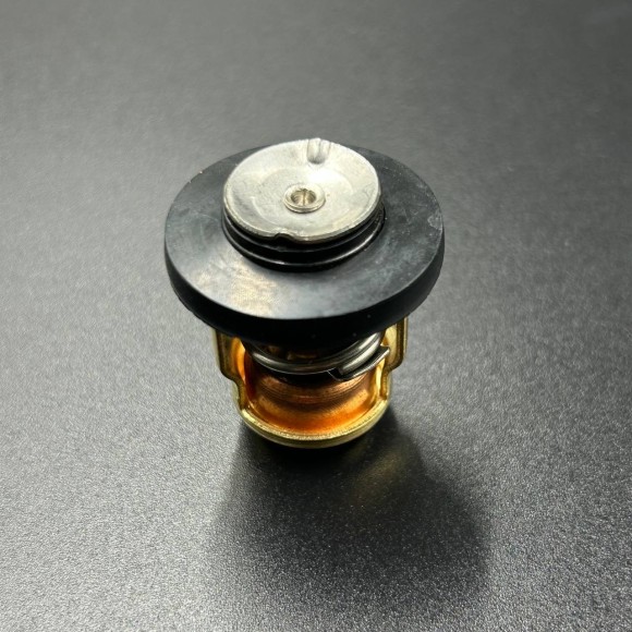 Термостат Yamaha F9,9-60 (66M-12411-01,825212T02) (60°C) (Kacawa)