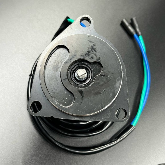 Мотор гидроподъемника Yamaha 60-90 OLD (в комплекте с реле) (WUHU)