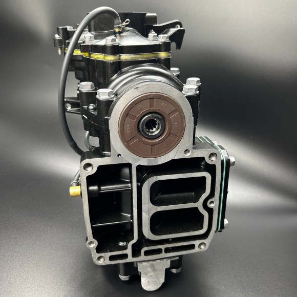 Мотоголовка (в сборе) Tohatsu 18 (YUELANG)