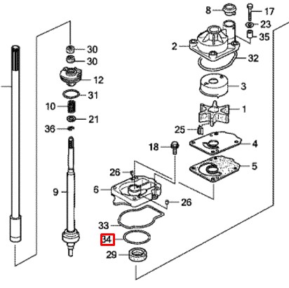 Кольцо уплотнительное основания помпы Honda BF250A (91359-ZX2-C00) (Honda) Кольцо уплотнительное основания помпы Honda BF250A (91359-ZX2-C00) (Honda)