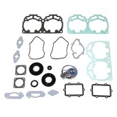 Полный комплект прокладок BRP 600 RS 09-711309