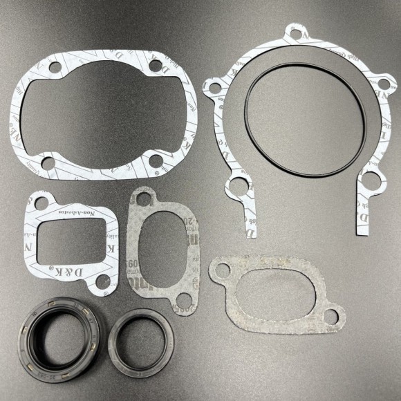 Ремкомплект двигателя SKI-DOO 227/280/300 (420992068; 420992069; 09-711195) (Sinera)