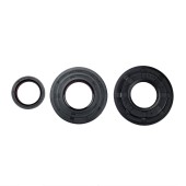 Комплект сальников BRP 09-55205