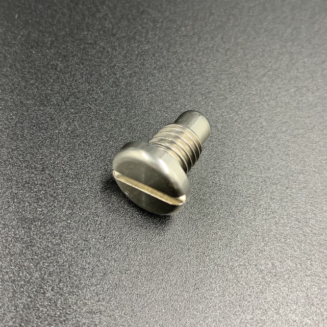 Пробка редуктора Yamaha 25-250, F20-115 (магнитная) (Kacawa)