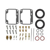 Ремкомплект карбюратора BRP SM-07666