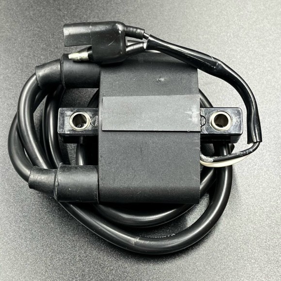 Катушка зажигания высоковольтная Polaris(4060229) (KINETIX)