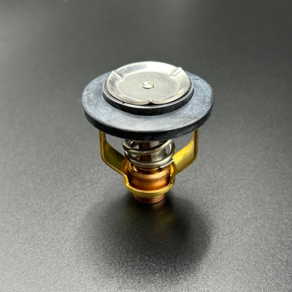 Термостат Yamaha F300-350 (Sinera)