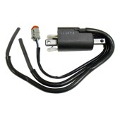 Катушка зажигания BRP SM-01150