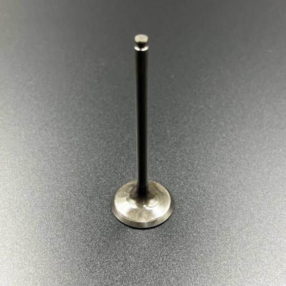 Клапан впускной Yamaha RS10/RS90/RST90/RSG90 (Yamaha)