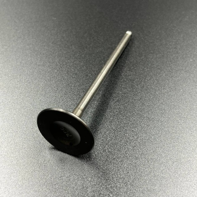 Клапан впускной Yamaha RS10/RS90/RST90/RSG90 (Yamaha)